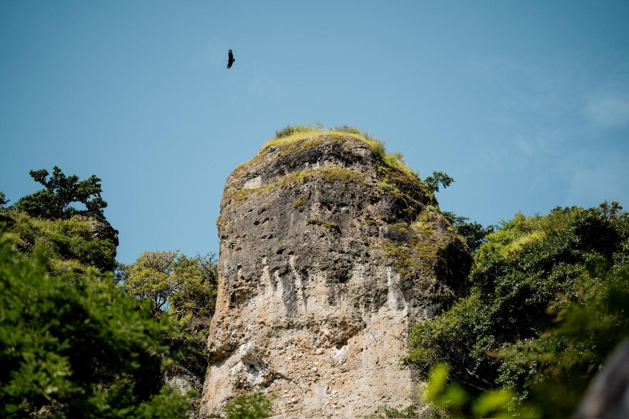 Fuego Atitlan Eco-Hotel San Marcos La Laguna Eksteriør bilde